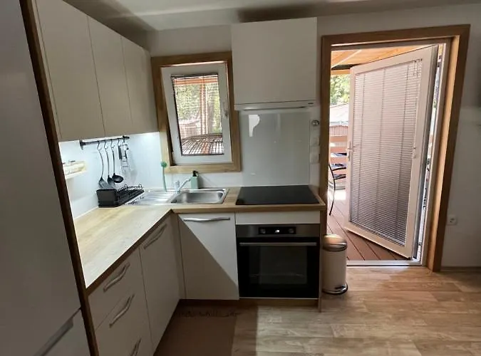 Lily B * 파코스탄